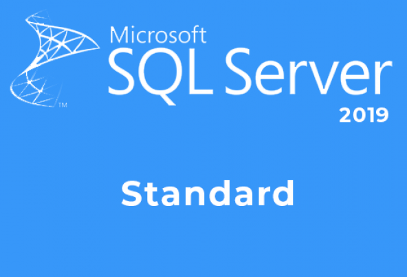 Microsoft SQL Server 2019 Standard Lisans
