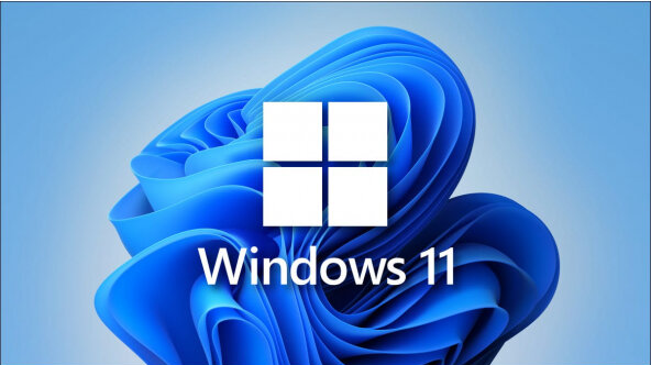 Windows 11 Pro Online Key Satın Al